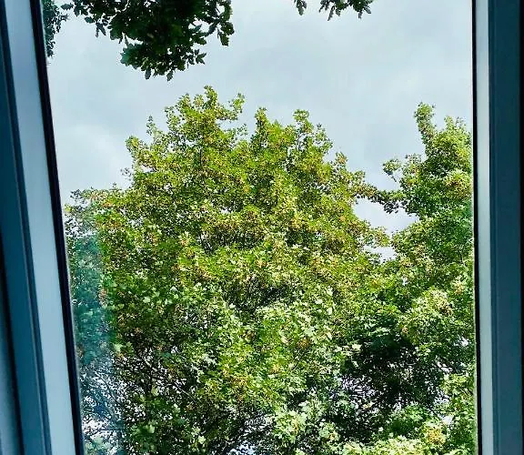 Five Oaks Sky Privat bolig *