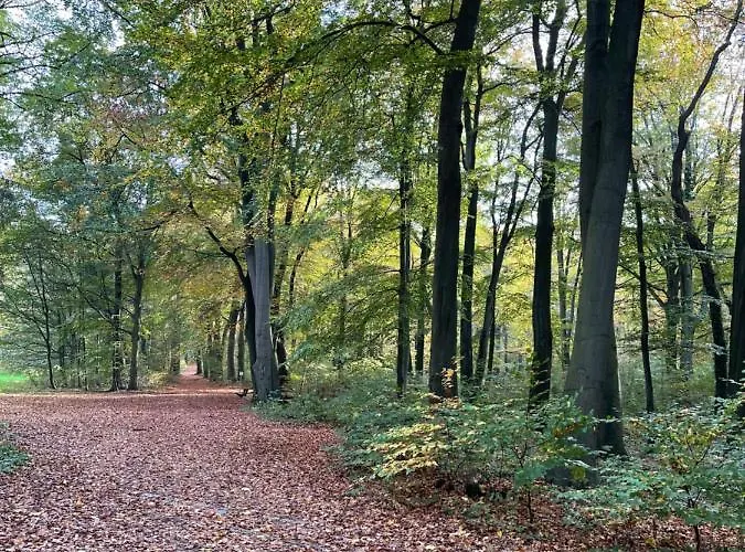 Privat bolig Five Oaks Sky